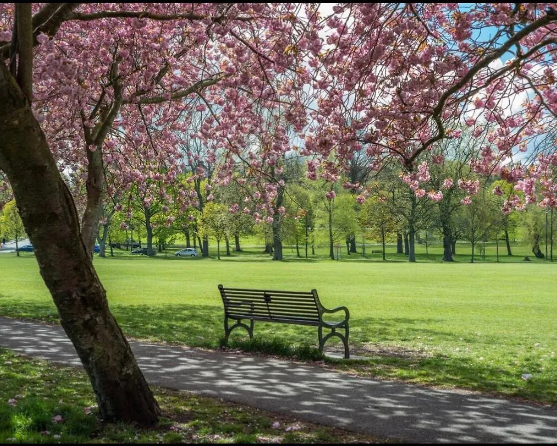 Stylish 2Br Apt In Quartermile Meadows Park Views Edimburgo 0*,  Reino Unido